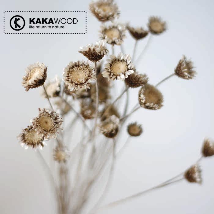 kakawood�ؾӼҾ���Ʒ��Ȼԭ��̬�ɻ���Ȼɫ50֧