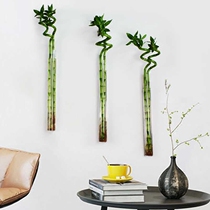 Creative wall hanging water vase home living room Restaurant wall decoration hanging piece transfer bamboo simple modern bottle
