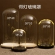 Đường kính phòng khách lớn 18cm-25cm sáng tạo hoa vĩnh cửu trong suốt chống bụi màn hình kính trang trí trang trí phòng khách Trang trí nội thất