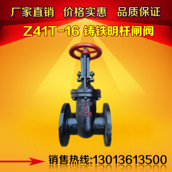 Z41T-10 16 Cast iron flanged open stem gate valve Cast iron open stem gate valve DN40 50 65 80 100 125