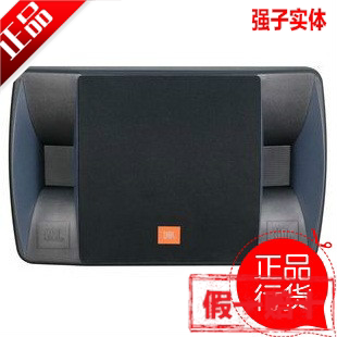 JBL RM101 karaoke speaker(1 pair(Karaoke speaker 10 inch double treble)
