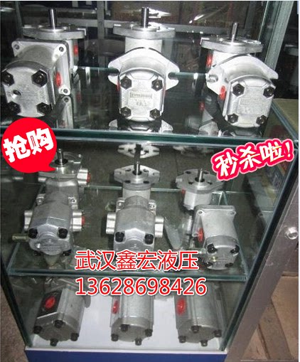 Boutique Taiwan 2GG1P112GG1P142GG1P162GG1P182GG1P20 gear oil pump