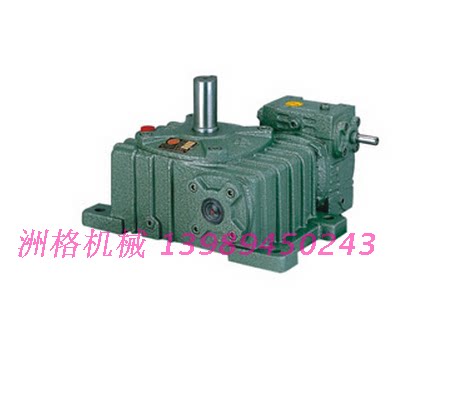 Bipolar WPEO Worm Gear Reducer 100 900 2000 36000 Large Speed Ratio Turbine Reducer