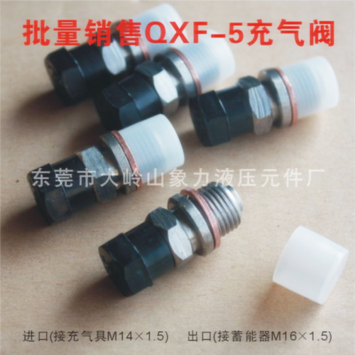 NXQ hydraulic accumulator charging valve shearing plate folding machine nitrogen check valve QXF-5 replenishment valve valve valve