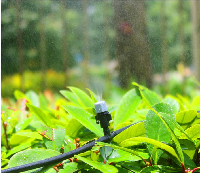 Atomizing Micro-Sprinkler Set, Automatic Flower Watering Device, Cooling Spray, Sprinkler Head, Sprinkler Irrigation System, Agricultural Irrigation Equipment
