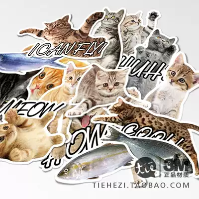 Original cat Stickers Cat star set Cartoon Suitcase Stickers Waterproof 3M Notebook Mobile Phone Stickers
