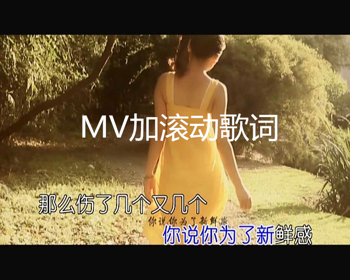 Video MV plus subtitle Electronic album synchronous karaoke lyrics subtitle song clip production Modification