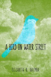 【预售】A Bird on Water Street