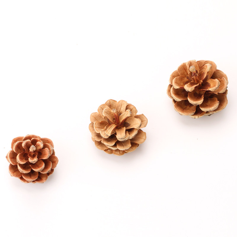 Creative refrigerator stickers kitchen decoration magnet natural pine cone magnet magnet pastoral American country Christmas gift