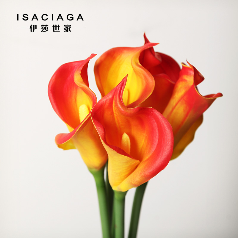 ��ɯ���ҷ��滨��ؾFZ065006