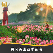 Yingshan Season Flowers Sea-Big Ticket] Electronic ticket Hubei Yingshan Four Seasons Grand Tickets for the Four Seasons