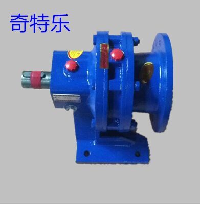 Cycloid pin wheel reducer horizontal BWD1-9-11-17-23-29-35-43-59-71-0 55 0 75KW