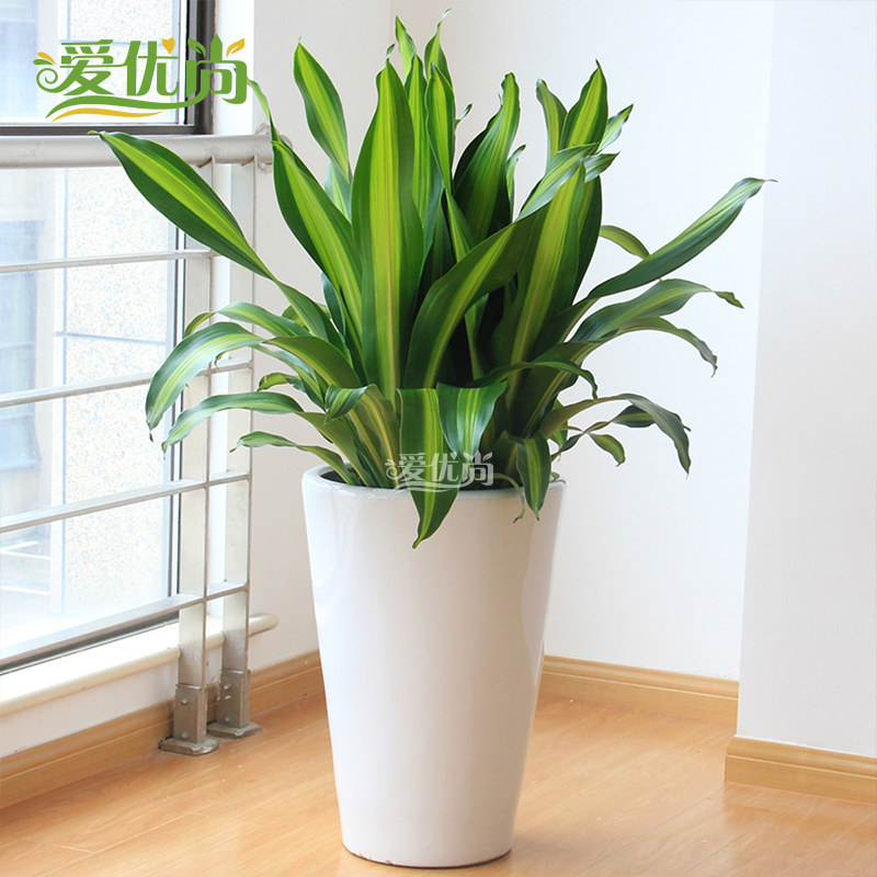 �������辰00067