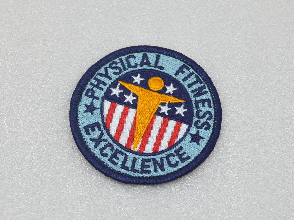 US Army USARMY Physical Excellent Physical Fitness Excellence badge 