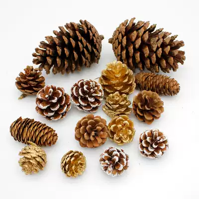 Natural Christmas Big Pine fruit dry flower ornaments Christmas tree decoration DIY dry flower material shooting auxiliary props