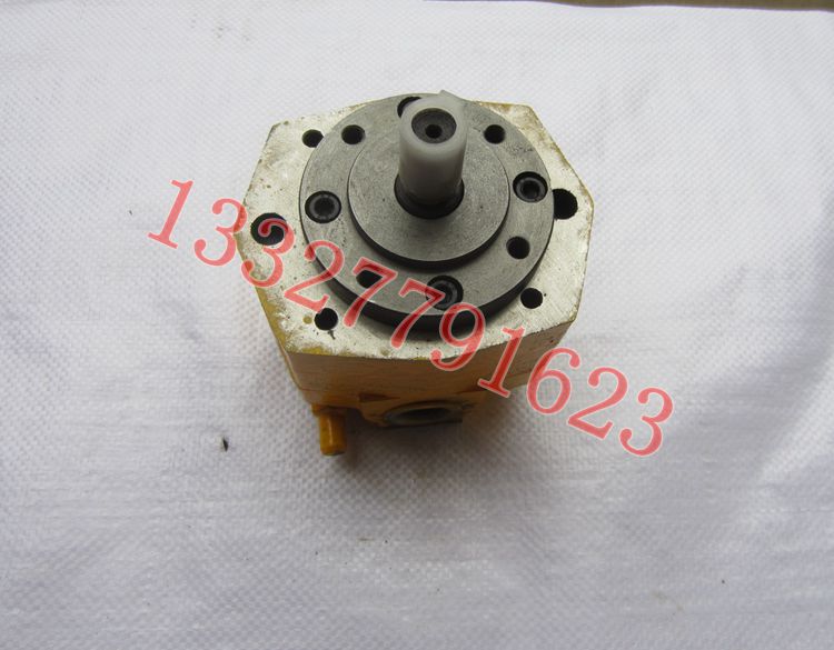 Rotary lobe pump BB-B125Y 100Y 80Y 63Y 50Y 40Y Cycloid gear oil pump with pressure regulating safety valve