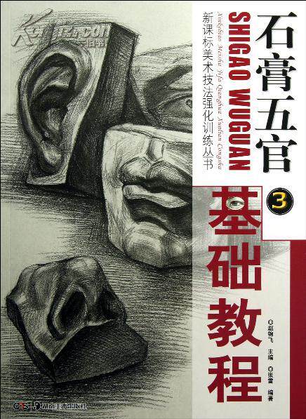 Basic tutorial for the five official of the plaster