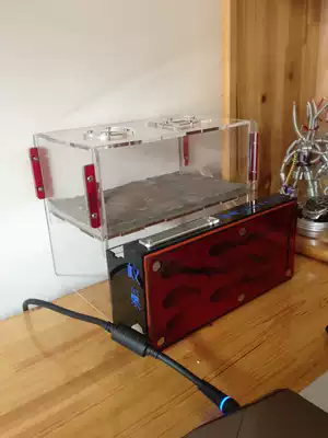 Ice City Ant Concrete nest Free space L1 Not for sale