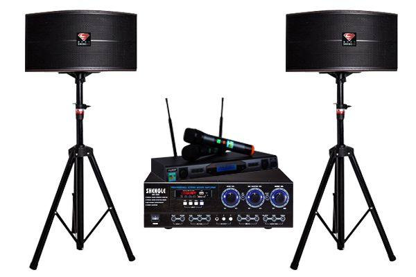 Shengle professional conference family movie KTV shop supermarket dance bar 10 inch audio amplifier set speaker