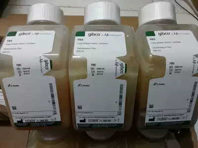 Gibco 16000-044 Fetal Bovine Serum (North America) Premium Fetal Bovine Serum 16000044 FBS