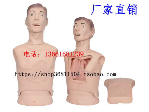 上半身洗胃模型 高级鼻胃管与气管护理模型 鼻胃管护理模型