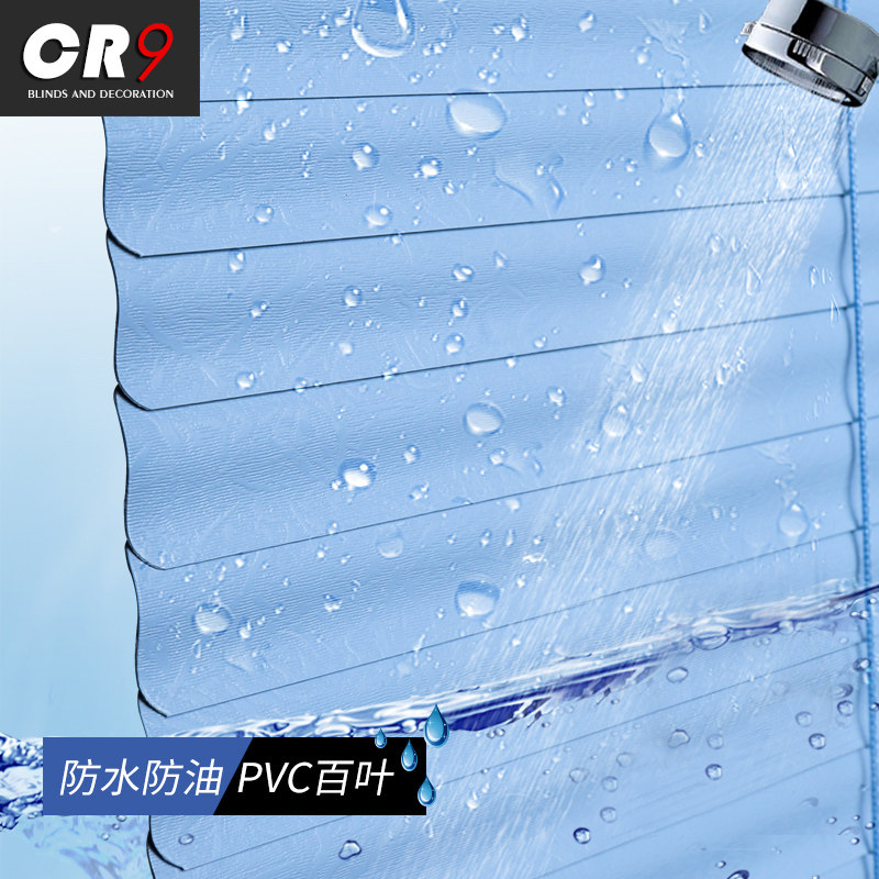 cr9pvc��Ҷ��������BS-BY05