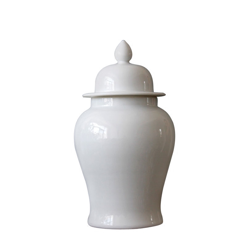Jingdezhen ceramic general single glaze hand white tank contracted modern furnishing articles storage tank ceramic decoration