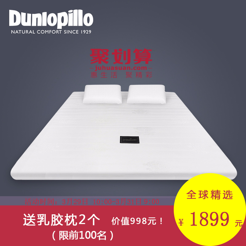 ��»�մ���310516619250001295