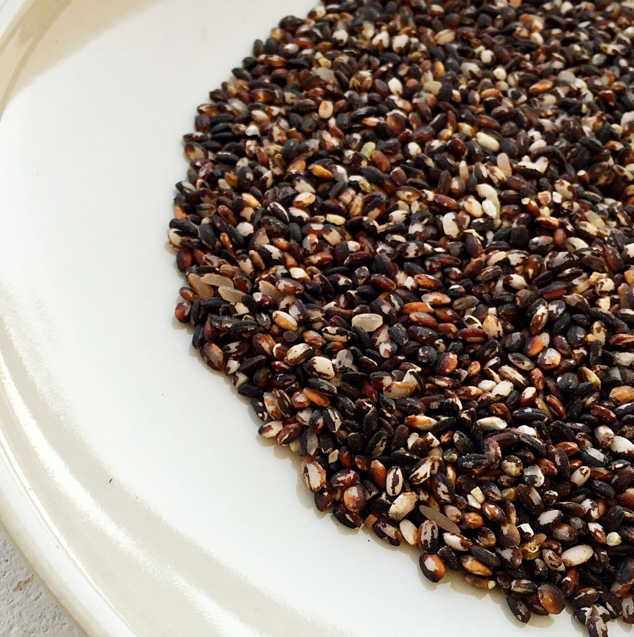 Aunt Zhao Northeast black land autumn harvest new blood glutinous rice fragrant sweet rice oil rich