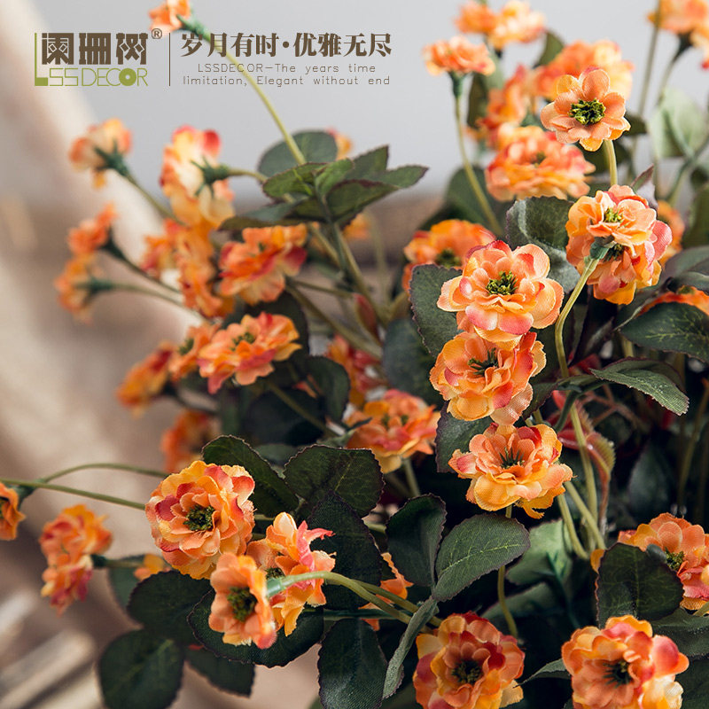 ��ɺ������С��ʯõ����F220