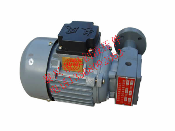 ZCB-0 8 1 2 1 5 Series rotor oil pump explosion-proof motor device reducer lubrication pump cb-0 8