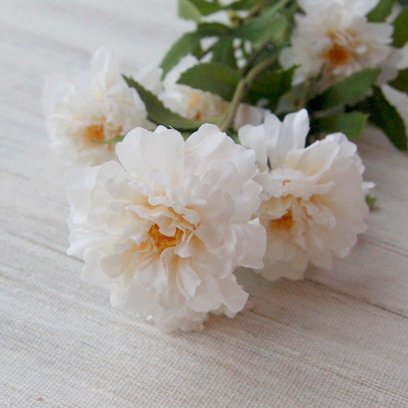 ֪�����滨����ܰ�ɻ�J-205