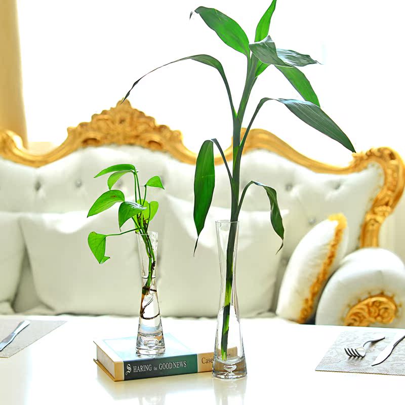 ���͸��������ƿƽ�ڵ�ֻ