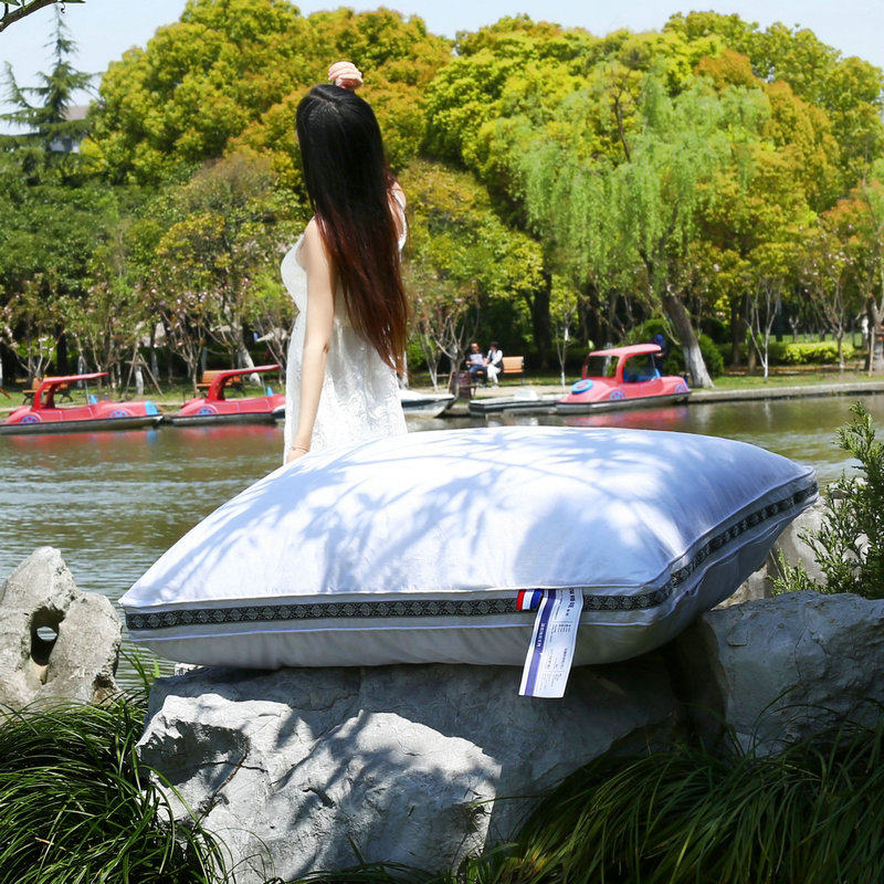 ��������ȫ������߻ص���˿����оB1126005