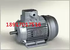 Three-phase asynchronous AC Micro Motor Motor Motor Motor variable frequency motor YS100L2-4 3KW