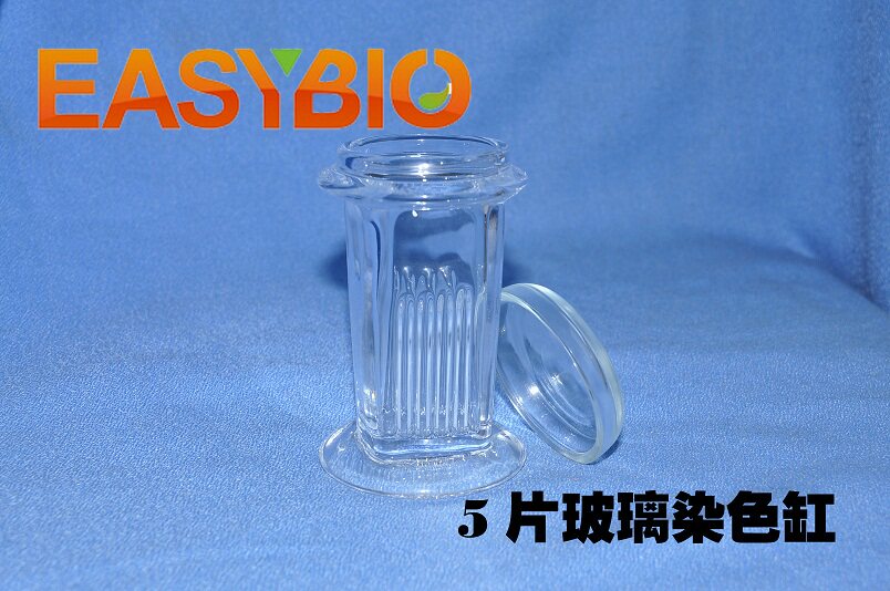 柏奥易杰热销产品  世泰原装 5片玻璃染色缸立式 免疫组化 BE6117