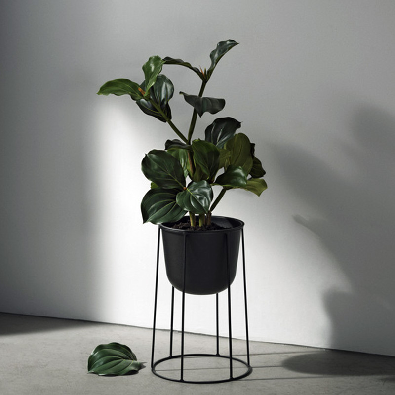 ���ɱ�ŷ�������ջ���TOY88-0708