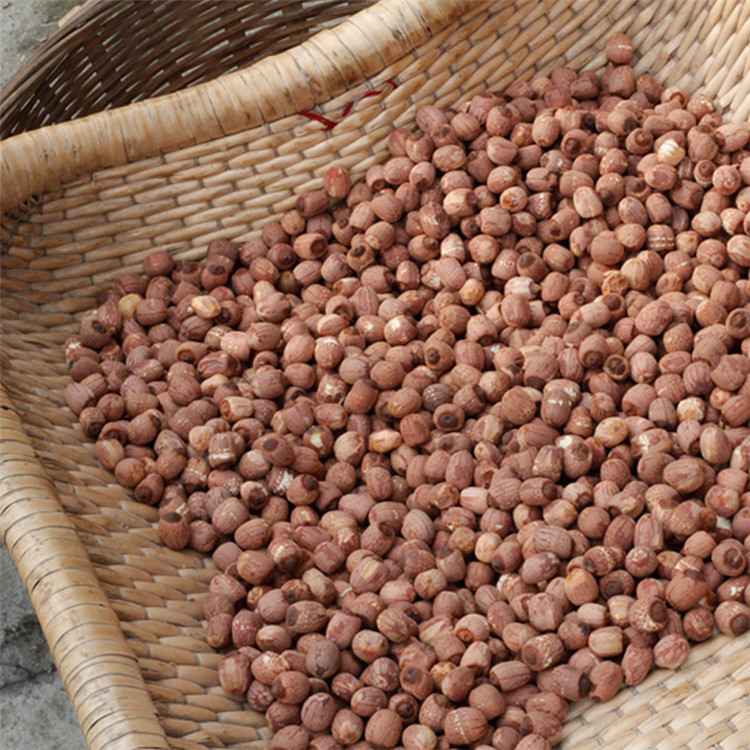 Anhui Hefei special production red lotus seed with core peasant dry goods red leather with core lotus seed dried fresh whole grain red lotus 500g