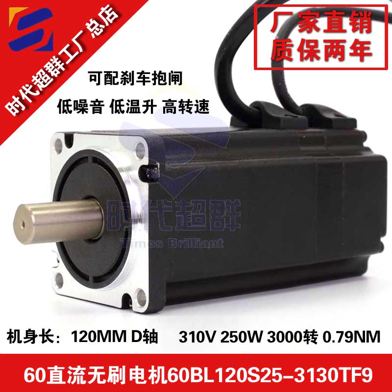 310V High voltage DC brushless motors 60BL120S25-3130TF9 3000 turns 250W brushless motors