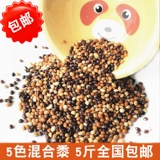 Черно -белые, красные и желто -зеленые пельмени 5 Цветные смешанные тигровые кожаные птицы едят птичьих пищи. 2,5 кг бесплатная доставка