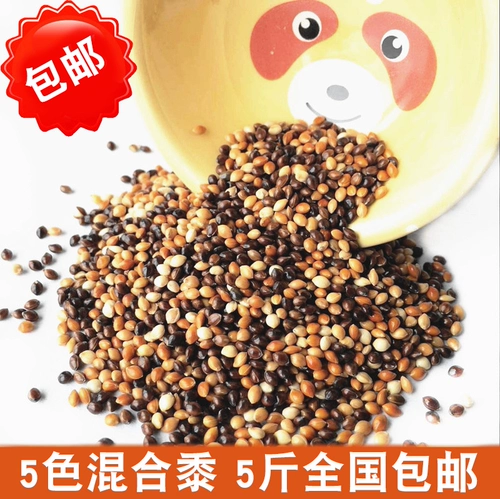 Черно -белые, красные и желто -зеленые пельмени 5 Цветные смешанные тигровые кожаные птицы едят птичьих пищи. 2,5 кг бесплатная доставка