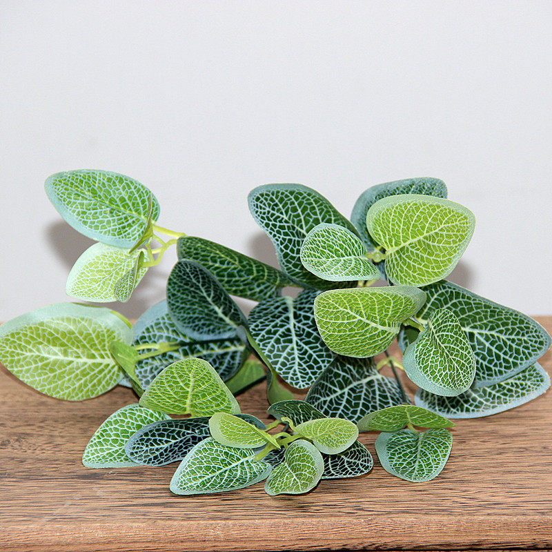 ���Ϸ��滨9963