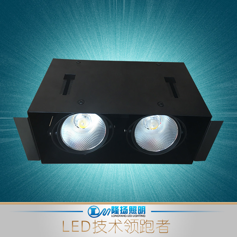 LED spotlight cob grille lamp double head frame dark decorated drum lamp embedded ceiling lamp