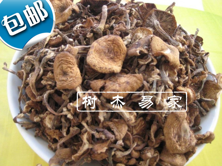 Daxinganling new wild root-free hazelnut mushroom chicken stewed mushrooms 250g 