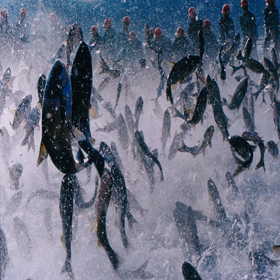 Kuril Lake Diaoyu Islands-Pass Ticket] Qiandao Lake Giant Fishing Pass