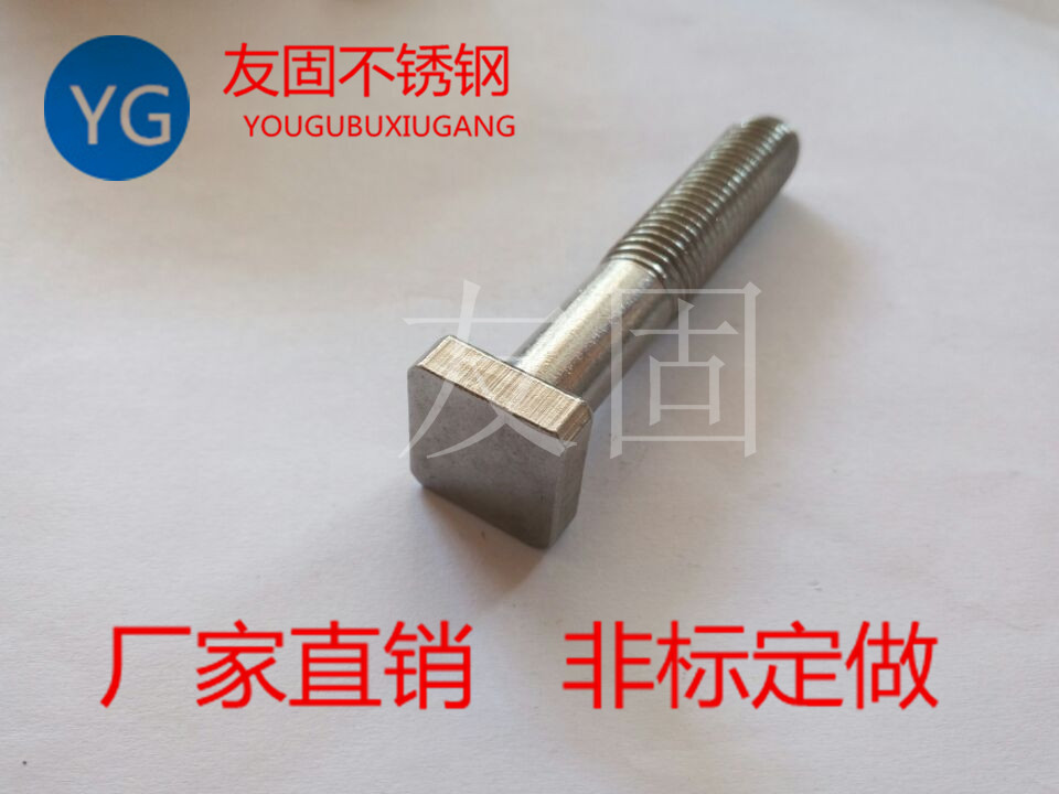 Non-Label Custom Stainless Steel Square Head Screw Bolt to Customize