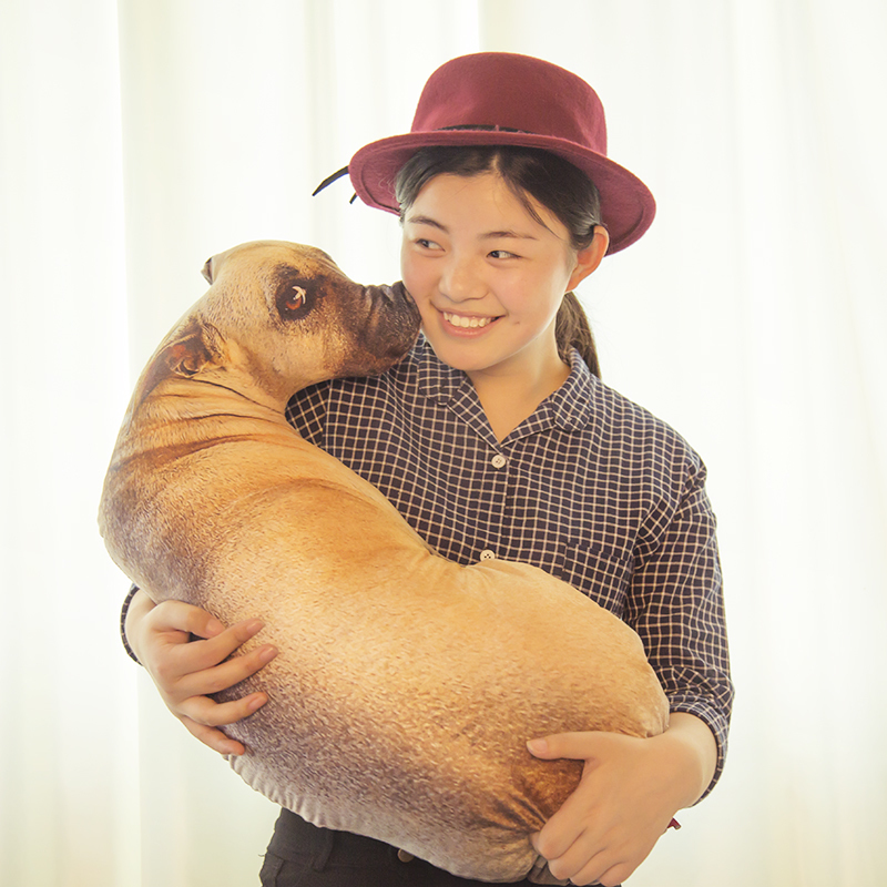 ��粹��ʿ�ͨ��ͷ��ͷɳ������HDGG