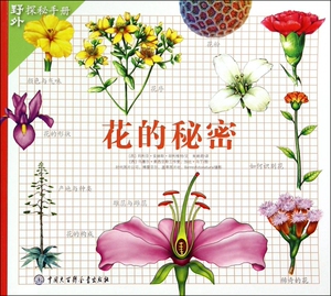 花的秘密/野外探秘手册 博库网