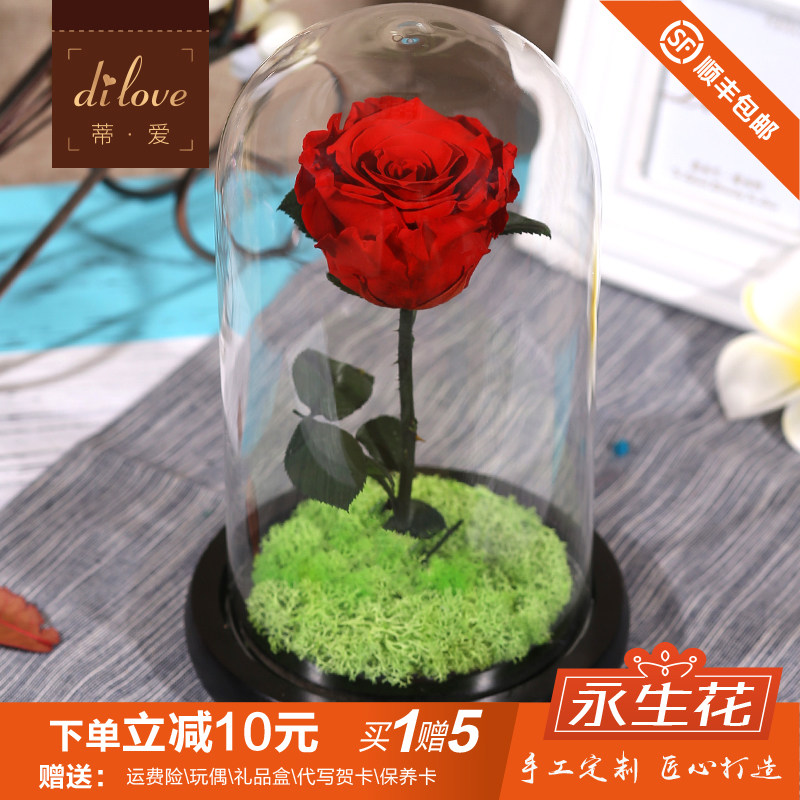 dilove�ٰ�������������DL-С����