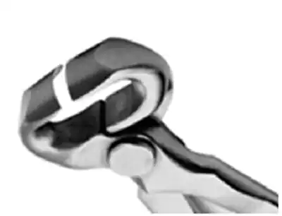 Hattie repair tool Nail hooves tool shears and pliers GE semicircular polished shears pliers 12quot